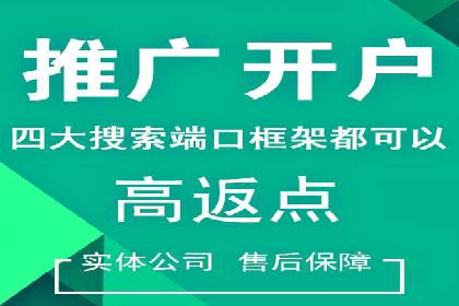 深入解析SEM竞价托管的成功案例