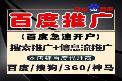 某公司SEM优化成功案例：从零到一的流量增长